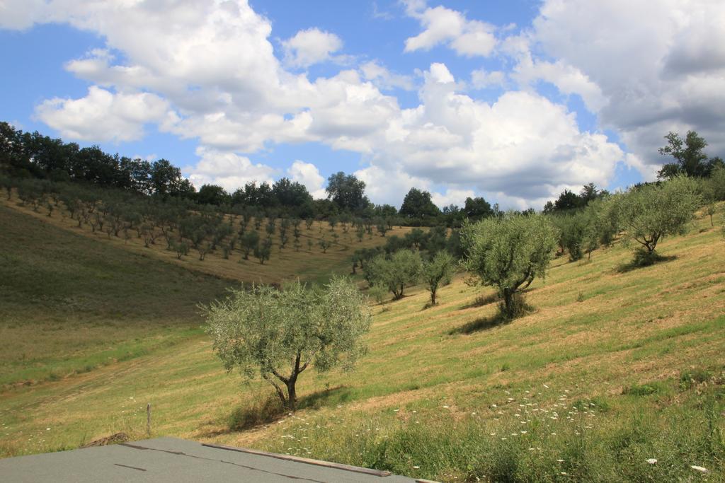 Agriturismo Le Buche Di Viesca Reggello Exteriör bild